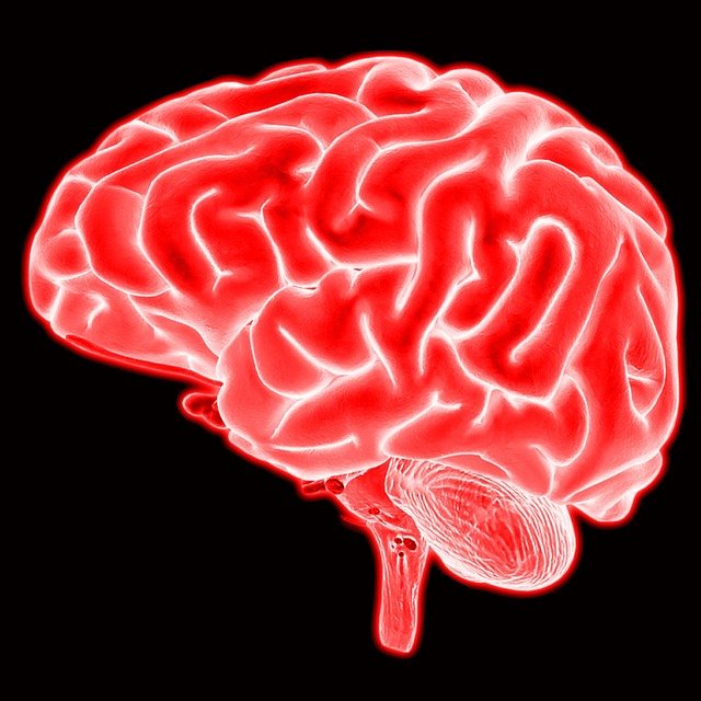 Definición de nootrópicos según la neurociencia