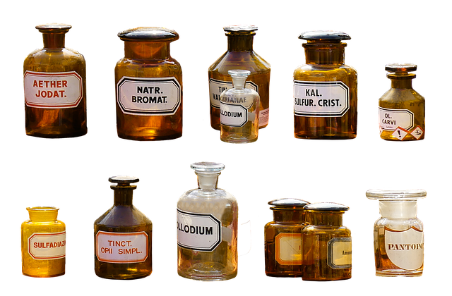 Plantas nootrópicas: beneficios y usos